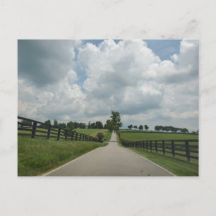 Kentucky Postcard Postkarte