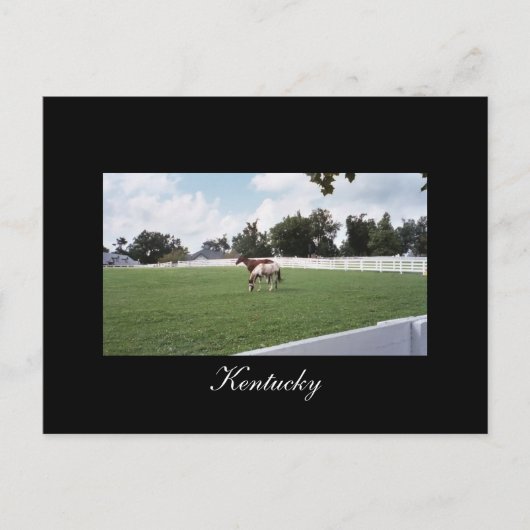 Kentucky Postcard Postkarte (Vorderseite)