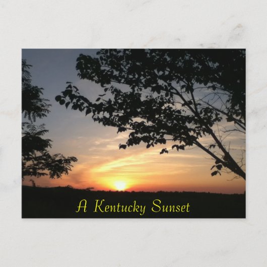 Kentucky Postkarte (Vorderseite)