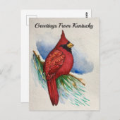 Kentucky Staat Bird Kardinal Aquarell Postkarte (Vorne/Hinten)