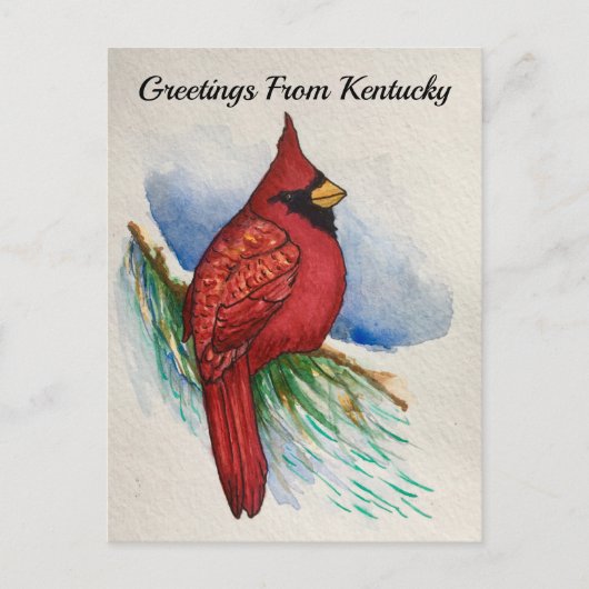 Kentucky Staat Bird Kardinal Aquarell Postkarte (Vorderseite)