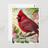 Kentucky Staat Bird Nord Kardinal Postkarte (Vorne/Hinten)