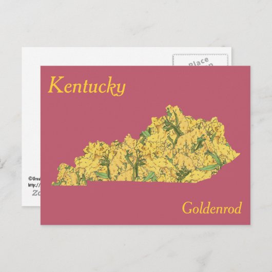 Kentucky Staat Blume Collage Map Postkarte (Vorne/Hinten)