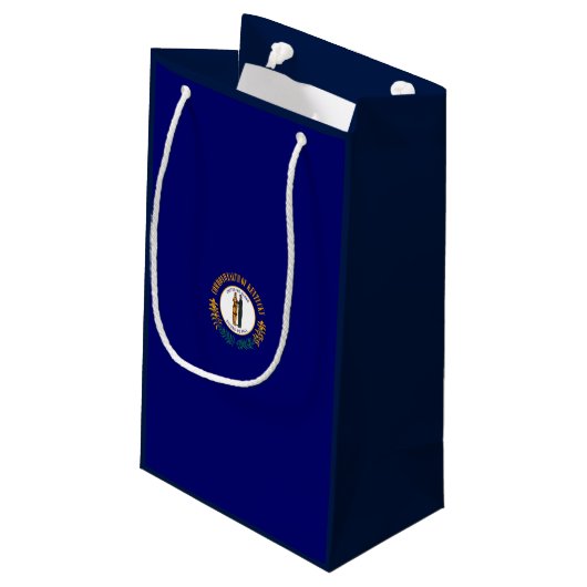Kentucky State Flag Design Kleine Geschenktüte (Rückseite Schrägansicht)