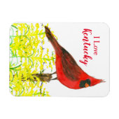 Kentucky Tourist Souvenir Kardinal Staat Bird Magnet (Horizontal)