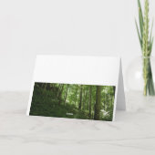 Kentucky Tree Karte (Rückseite)