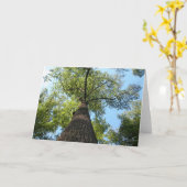 Kentucky Tree Karte (Gelbe Blume)