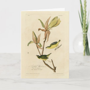 Kentucky Warbler von Audubons Vögeln von Amerika Karte