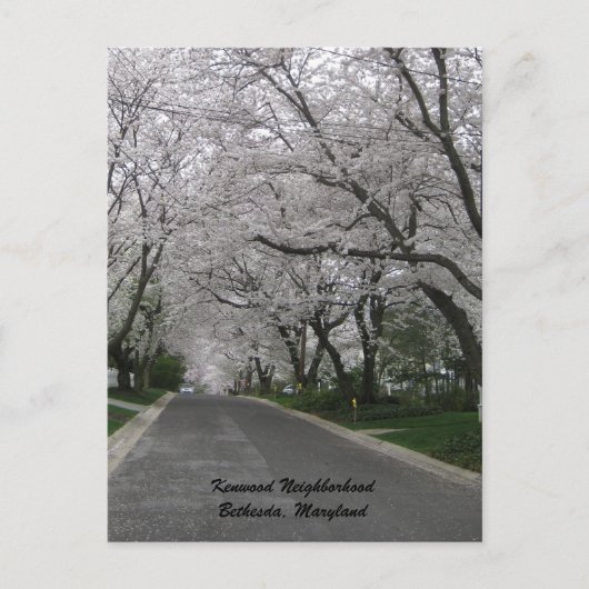 Kenwood Neighborhood, Bethesda, Maryland Postkarte (Vorderseite)