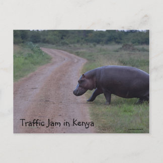 Kenya Africa Traffic Jam Hippo Postkarte