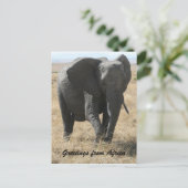 Kenya-Elefantengrüße Postkarte (Stehend Vorderseite)
