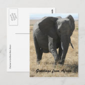 Kenya-Elefantengrüße Postkarte (Vorne/Hinten)