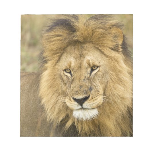 Kenya Masai Mara Notizblock (Vorderseite)