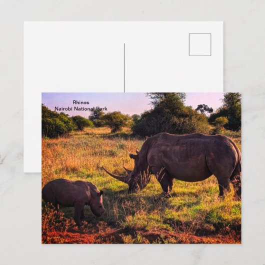 Kenya Postcard Postkarte (Vorne/Hinten)