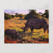 Kenya Postcard Postkarte (Vorderseite)