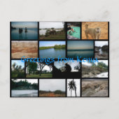 Kenya Postcard Postkarte (Vorderseite)