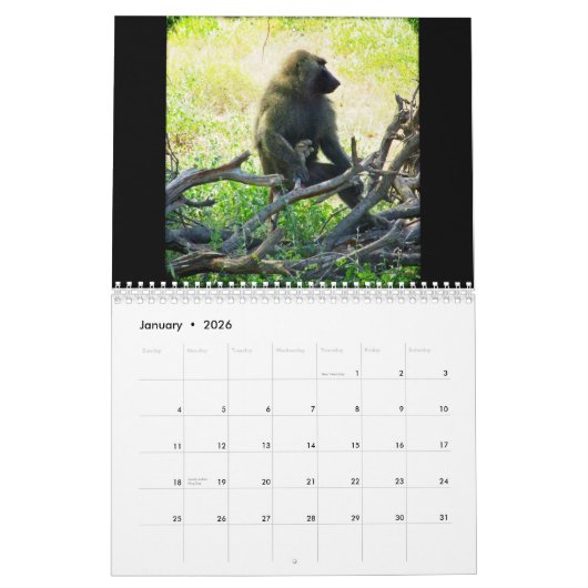 Kenya Safari Kalender (Jan 2026)