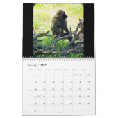 Kenya Safari Kalender (Jan 2027)