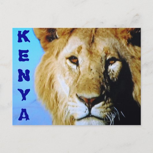 Kenya Safari Postkarte (Vorderseite)