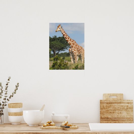 KENYA Towering Giraffe Poster (Küche)