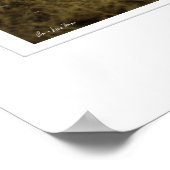 Kenyan Savannah Print Poster (Ecke)