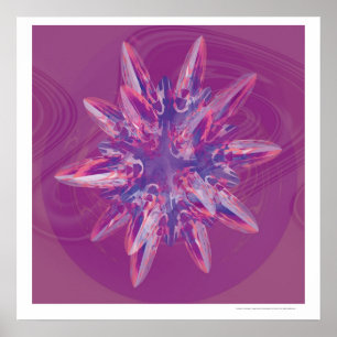 Kepler Finite Poster