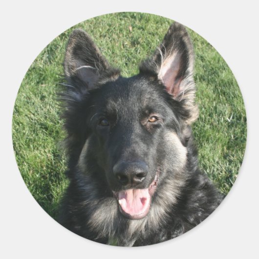 Kepler Runder Aufkleber (Vorderseite)