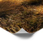 Kepler Track Poster (Ecke)