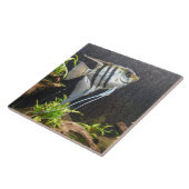 Keramik aus tropischem Gestein Fliese (Seite)