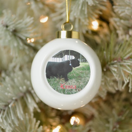 Keramik Ball Custom Cat Ornament (Baum)