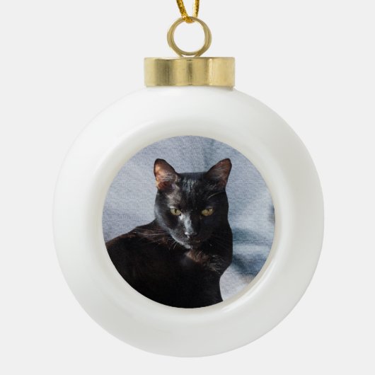 Keramik-Ball-Haustier-Verzierungen Keramik Kugel-Ornament (Vorderseite)