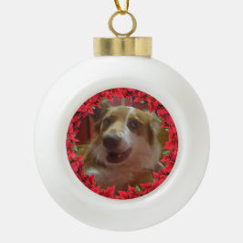 Keramik Ball Pet Foto Gerahmt Ornament
