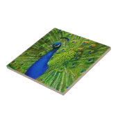KERAMIK BLAU & GREEN PEACOCK FLIESE (Seite)