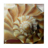 Keramik Blitzlichtplatz Tile Fliese (Vorderseite)