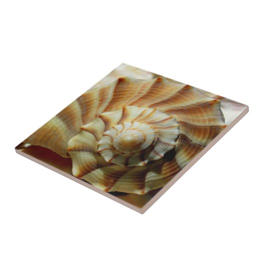 Keramik Blitzlichtplatz Tile Fliese (Seite)