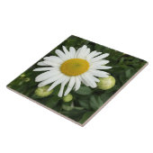 Keramik Blume Tile Fliese (Seite)