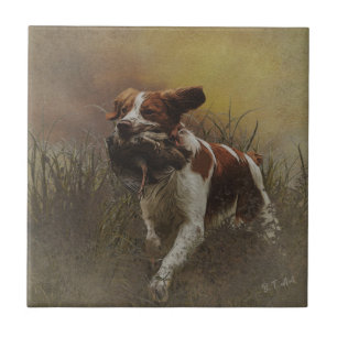 Keramik Bretagne spaniel Tile Fliese