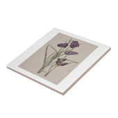 KERAMIK : CHARLES RENNIE MACKINTOSH : 1915 FLIESE (Seite)