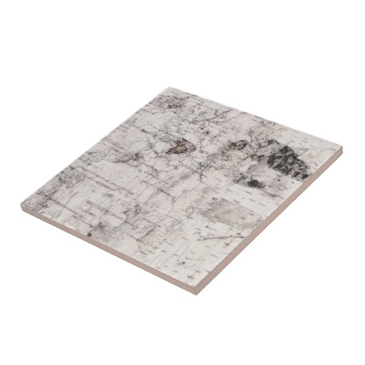 Keramik der Birkenrinde Fliese (Seite)