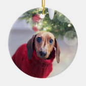 Keramik der Hunde Ornament (Vorne)