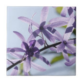 Keramik der Lila Blume Fliese (Vorderseite)