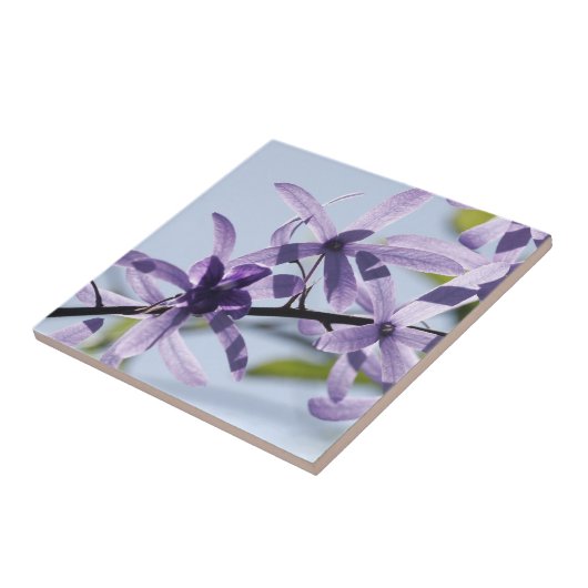 Keramik der Lila Blume Fliese (Seite)