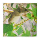 Keramik der Maus Fliese (Vorderseite)