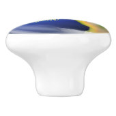 Keramik Earth Planet World Design Keramikknauf (Seitenansicht)