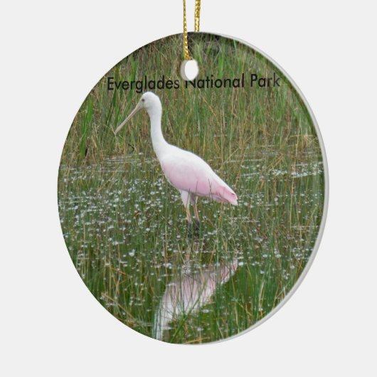Keramik Everglades Keramikornament (Links)