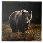 Keramik Fliese (Vorderseite)