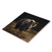 Keramik Fliese (Seite)