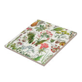 Keramik Fliese (Seite)