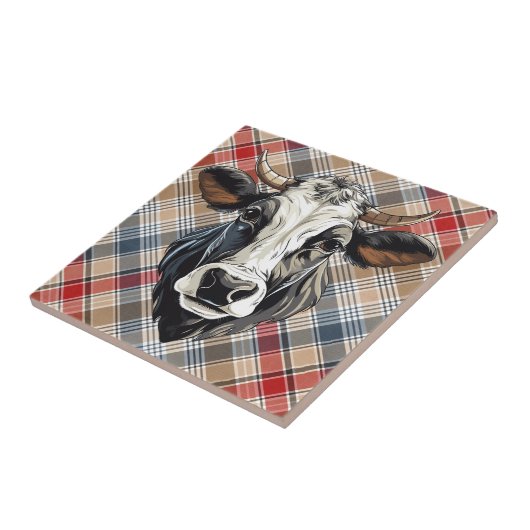 Keramik Fliese (Seite)