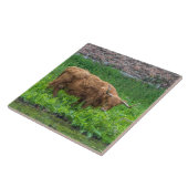 Keramik Fliese (Seite)